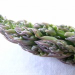 Viva il verde: pasta speck e asparagi
