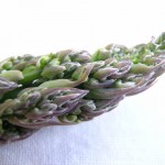 Viva il verde: pasta speck e asparagi